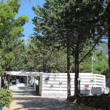 Camping Car Palmasera Hotel Cala Gonone Exterior foto